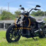 2020 HARLEY-DAVIDSON FXDR™ 114