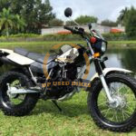 2019 YAMAHA TW200